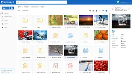 [5318.cm] BeDrive - File Sharing and Cloud Storage