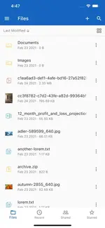[5318.cm] BeDrive Mobile - Native Flutter Android 和 iOS 应用程序
