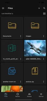 [5318.cm] BeDrive Mobile - Native Flutter Android 和 iOS 应用程序
