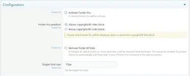 [5318.cm] Footer Pro